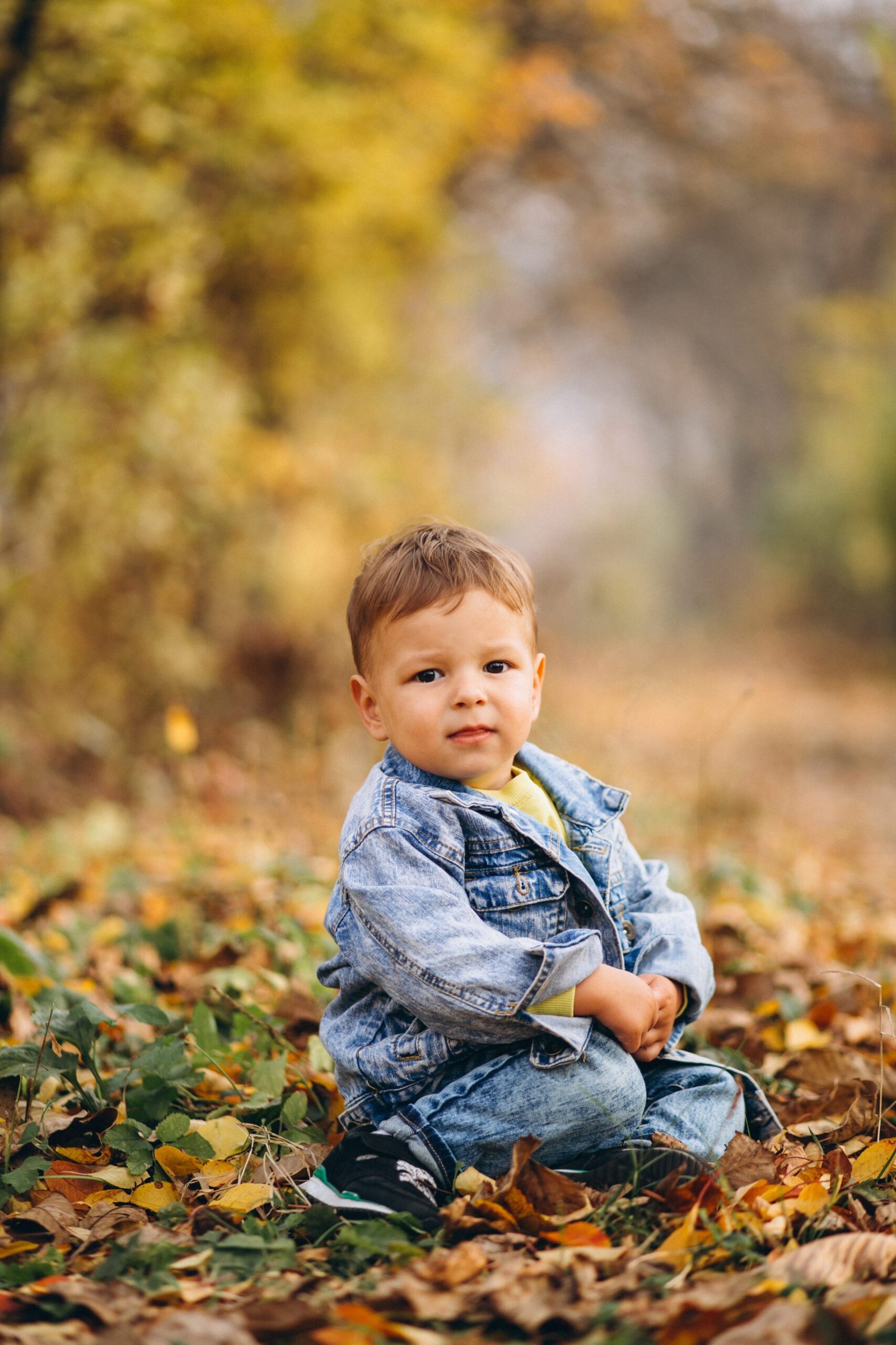 Little boy sitting in park on autumn leaves